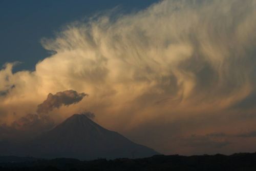 1231257761_resized-colima-hbuurman.jpg